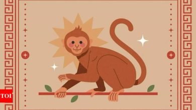 Weekly Chinese Horoscope (31 March – April 06): Monkey Horoscope for the zodiac