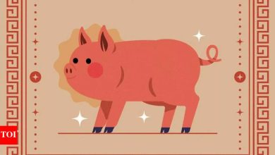 Weekly Chinese Horoscope (March 31 – April 06): Predictions for Pig zodiac sign signal