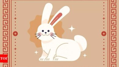 Weekly Chinese Horoscope (31 March – April 06): predictions for the rabbit zodiac