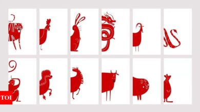 Chinese zodiac horoscope today, April 04, 2025: Predictions for all animal signals