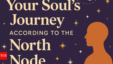 Tour of your soul according to Answer Node: What does it say about the purpose of your life