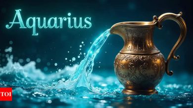 Aquarius, Daily Horoscope Today, April 06, 2025: Social interaction will be pleasant