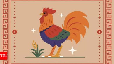 Weekly Chinese horoscope (April 07 – April 13): predictions for roster zodiac cycle
