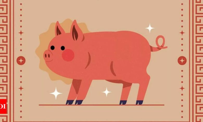 Weekly Chinese Horoscope (April 07 – April 13): Predictions for Pig zodiac sign signal Weekly Chinese Horoscope (April 07 – April 13): Predictions for Pig zodiac sign signal