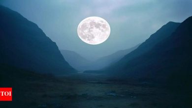 April Pink Moon 2025: How to see date, time and April full moon?