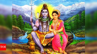 Guru Pradas Vrat April 2025: Date, time, worship rituals and importance