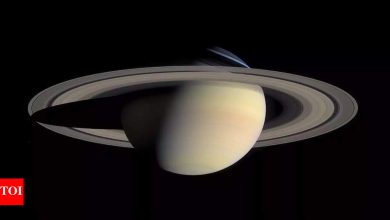 Saturn return: This quarterly life is giving crisis