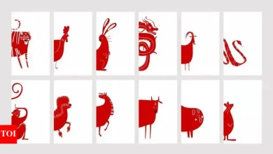 Chinese zodiac horoscope today, April 12, 2025: predictions for all animal signals