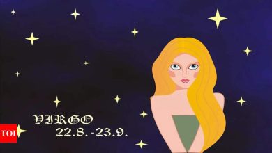 Virgo daily horoscope today, April 13, 2025: Stay ground, be strong