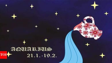 Aquarius Daily Horoscope Today, April 13, 2025: Open doors with bright ideas