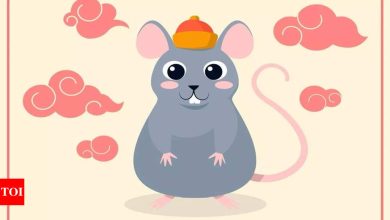 Weekly Chinese Horoscope (April 14 – April 20): Prophets for the amount of rat