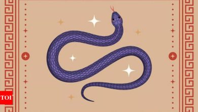 Weekly Chinese Horoscope (April 14 – April 20): Predictions for Snake Zodiac