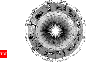 Zodiac Chakra signal and mythological tea that they never asked for
