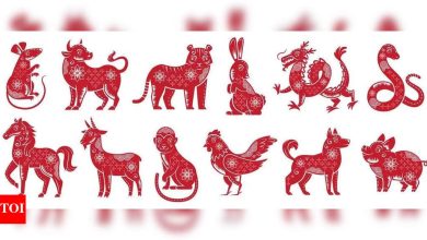 How to identify the most lucky Chinese zodiac cycle for 2025