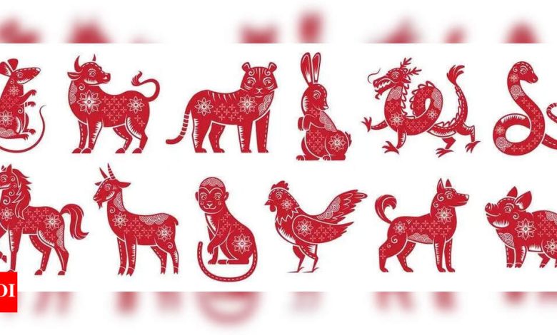 How to identify the most lucky Chinese zodiac cycle for 2025 How to identify the most lucky Chinese zodiac cycle for 2025