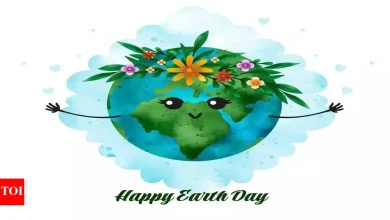 Earth element explained in astrology: Symptoms, imbalance signs, and grounding tips for a balanced life on World Earth Day 2025