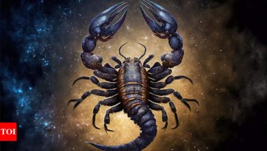 Scorpio Kundali tomorrow, 23 April, 2025: Priority to comfort and soft practices