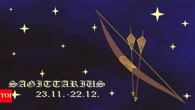 Sagittarius Daily Horoscope Today, April 25, 2025: Let your vision fly