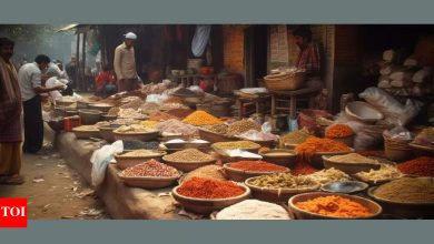 Zodiac in the form of Indian Street Markets: Anarchy, attraction and chutney