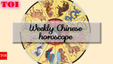 Weekly Chinese horoscope, April 27 to May 03, 2025: 3 Zodiyak which needs to be cautious