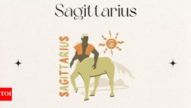 Sagittarius Kundali tomorrow, April 28, 2025: There is a possibility of success in education and career