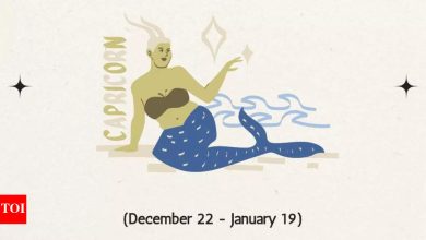 Capricorn Horoscope tomorrow, April 28, 2025: A small financial benefit may appear