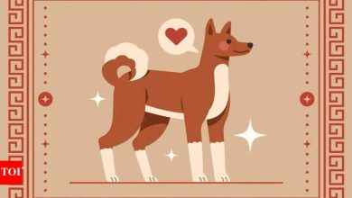 Weekly Chinese Horoscope (28 April – May 04): Predictions for Dog zodiac
