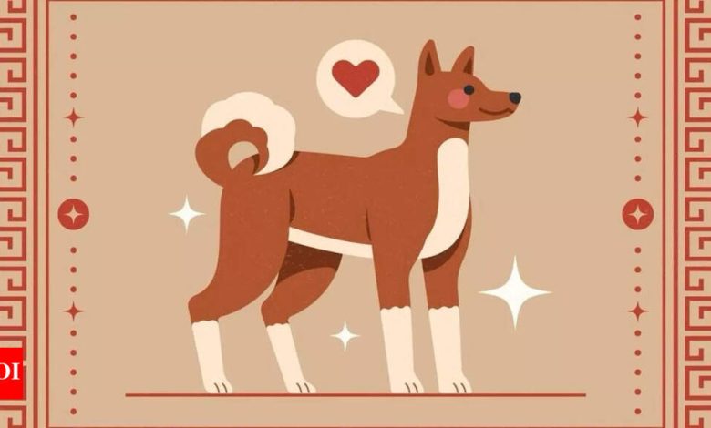 Weekly Chinese Horoscope (28 April – May 04): Predictions for Dog zodiac Weekly Chinese Horoscope (28 April – May 04): Predictions for Dog zodiac