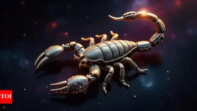 Scorpio Kundali tomorrow, May 01, 2025: Don’t be overlapping; Keep backup plans ready