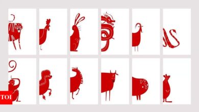 Chinese zodiac horoscope today, 02 May, 2025: predictions for all animal signals