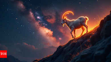 Capricorn Horoscope Tomorrow, May 03, 2025: Enjoy your comfort but see your expenses