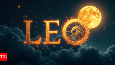 Leo Kundali tomorrow, May 03, 2025: Avoid any big purchase or investing
