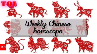 Weekly Chinese horoscope, May 04 to May 10, 2025: 5 pairs who are lucky