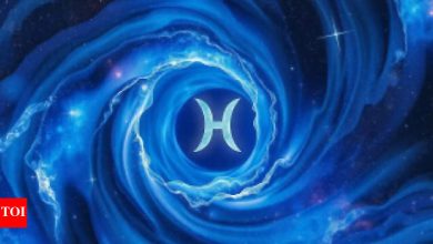 Pisces daily horoscope today, May 06, 2025: Shanti brings correct reply