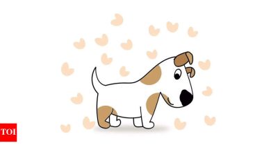 5 spiritual superpowers of dogs who cannot even write Hollywood