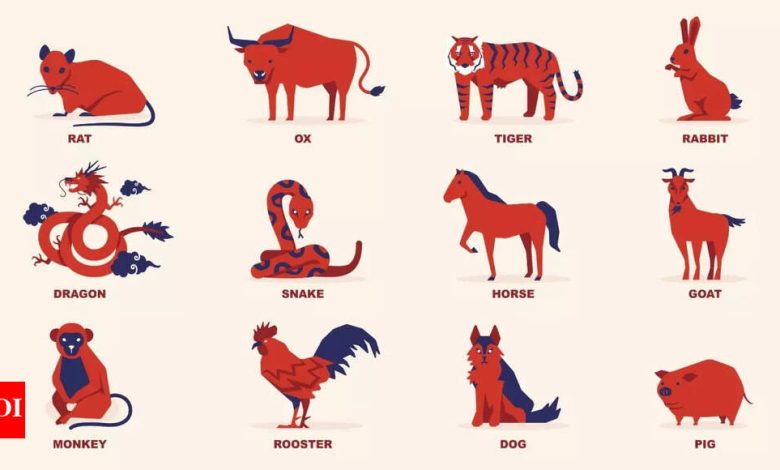 Dragon, Rat, Pig: Top 3 Chinese zodiac which attracts fate Dragon, Rat, Pig: Top 3 Chinese zodiac which attracts fate