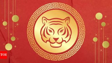 Birth born: Chinese zodiac tiger and its bold heritage