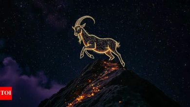 Capricorn Daily Horoscope Today, May 08, 2025: Embrace Anand without hesitation