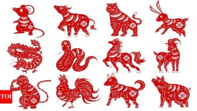 Middle Year Forecast: 4 Chinese zodiac set to flourish in 2025