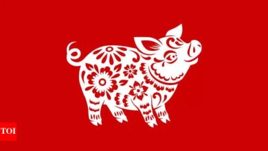 Weekly Horoscope (May 12-18): Predictions for Pig Chinese sign