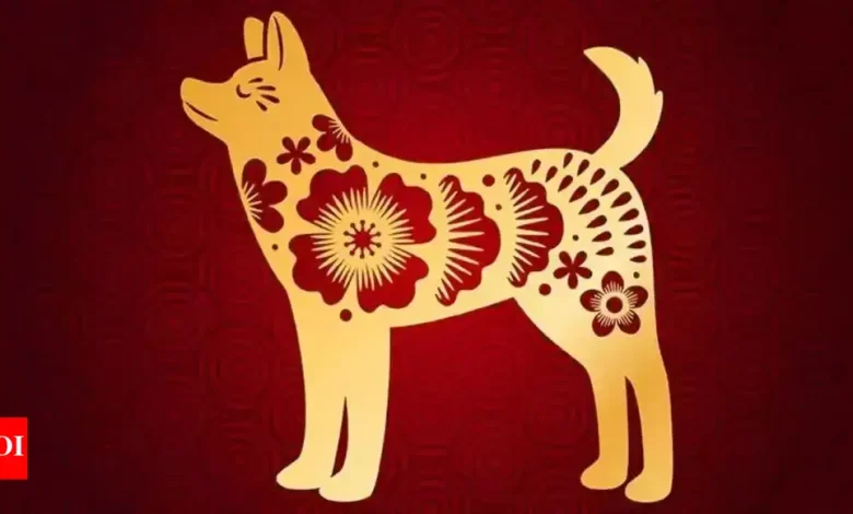 Weekly Horoscope (May 12-18): Predictions for Dog Chinese sign Weekly Horoscope (May 12-18): Predictions for Dog Chinese sign