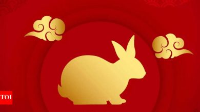 Weekly Horoscope (May 12-18): Prophets for rabbit sugar zodiac sign