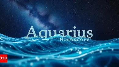Aquarius Daily Horoscope Today, May 13, 2025: Slow, Anand is hidden in the pass