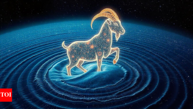 Capricorn Daily Horoscope Today, May 13, 2025: Your dignity will earn honor