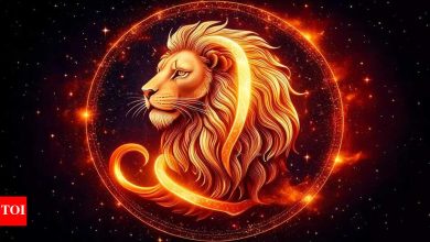 Leo Daily Horoscope Today, May 13, 2025: Unexpected turn may lead to blessings