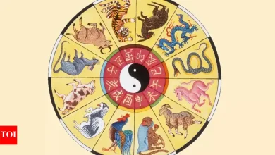 Horoscope today, May 14, 2025: Daily predictions based on your Chinese zodiac