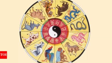 Kundali today, May 16, 2025: Daily predictions based on your Chinese zodiac