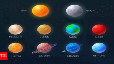 Which zodiacs are more likely to face life conflicts? ,