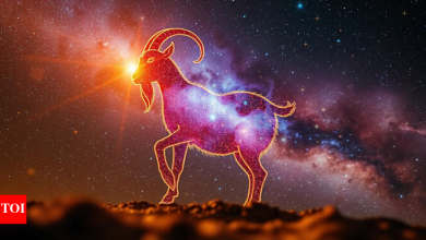 Capricorn Daily Horoscope Today, May 20, 2025: Slow, Stagnation brings clear direction