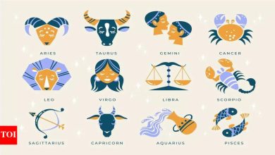 Top 4 zodiac sign signal with unmatched English skills |